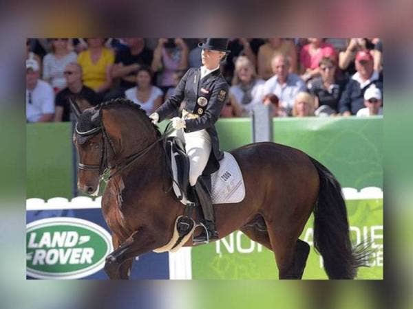 Pemeriksaan kesihatan dan imbasan-x pada kuda berkenaan mendedahkan jangkitan pada gigi. - Stadium Astro