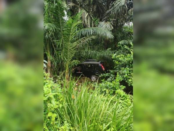 Kenderaan petugas Kesihatan terbabas selepas melanggar babi yang melintas di Kilometer 10 jalan Pekan-Batu Balik pada jam 9 pagi, Rabu.