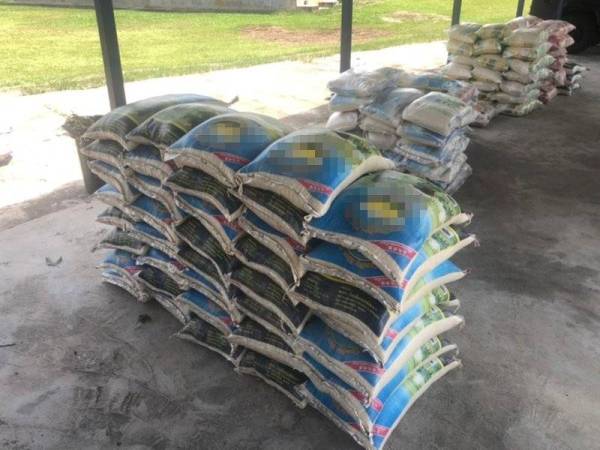 Antara beras yang ditemui dalam serbuan di Kampung Lalang Pepuyu, Tanah Merah pada Isnin.