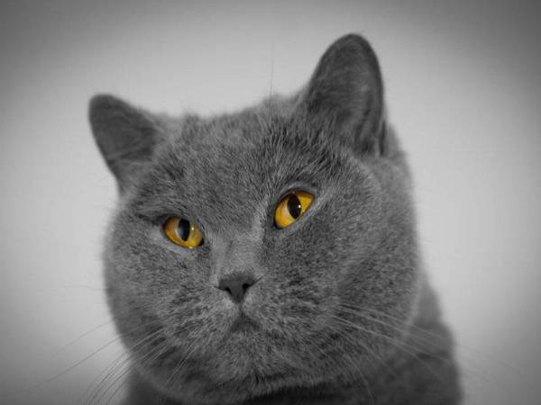 Gambar hiasan - Foto 123rf