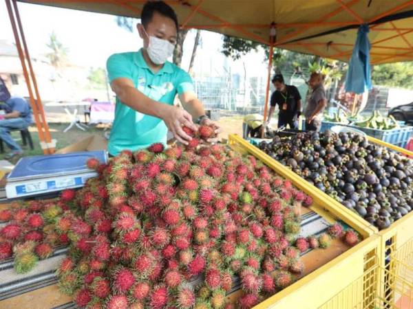 Satu tan manggis dan rambutan turut dijual.