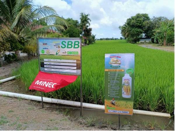 Bernas turut berkerjasama dengan Pengilang Bumiputera untuk melaksanakan program SMART SBB.