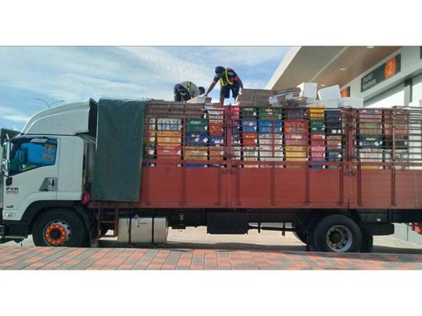 Lori yang ditahan Maqis Kedah kerana membawa masuk buah jambu batu yang tidak mempunyai sijil Perakuan Pematuhan (CoC). - Foto Maqis Kedah