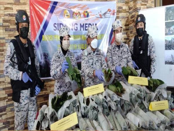 Mohd Zawawi (tengah) menunjukkan sebahagian ketum yang dirampas di muara Kuala Sanglang, Jerlun pada Jumaat dan merupakan rampasan terbesar bahan terlarang tersebut setakat ini.