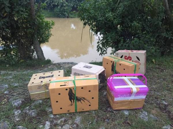 Kotak yang ditinggalkan di tepi pengkalan haram berkenaan.