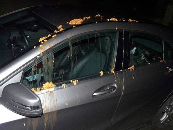 Kacang panggang dilemparkan di sebuah kereta di kampung Wonersh, Britain baru-baru ini. - Foto Berita Triangle Polis Surrey