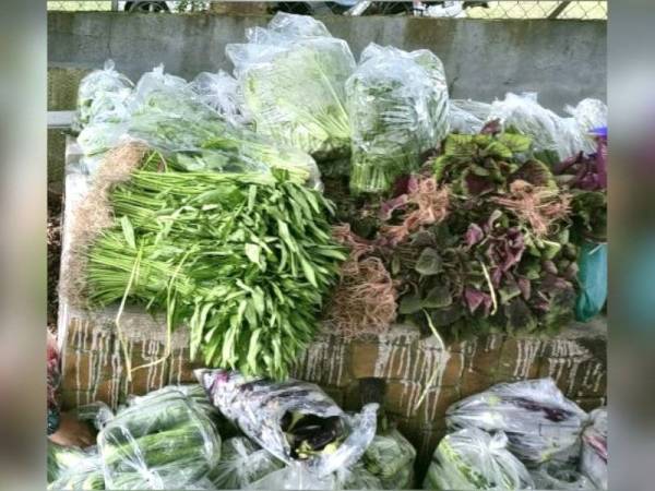 Sumbangan sayur-sayuran yang akan diagihkan kepada penduduk terjejas Covid-19.