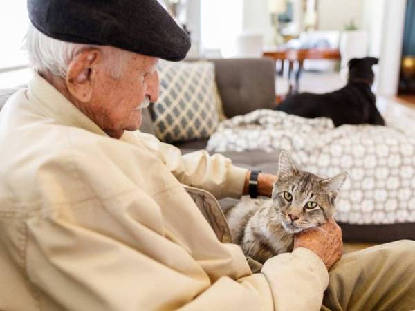 Gambar hiasan. - Foto 123rf