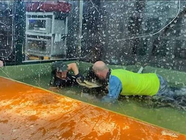 Donnie Wiseman memeluk seekor buaya bagi membantu mengeluarkan sebelah tangan pelatih wanita di sebuah pusat reptilia di bandar raya Lembah Barat, Utah baru-baru ini. - Foto KTLA