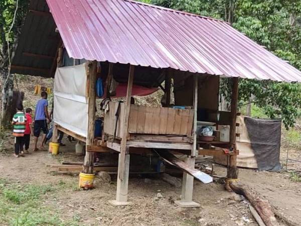 Dangau dusun di Kampung Lok Koi, Kuala Nerang menjadi tempat berteduh buat Razman sekeluarga sejak Mei lalu.
