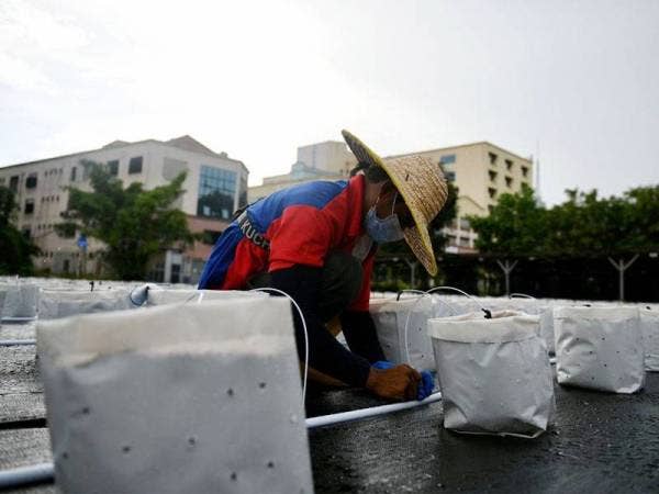 Peserta yang terlibat mempersiapkan perkakas fertigasi sebelum proses penanaman anak pokok cili bermula.