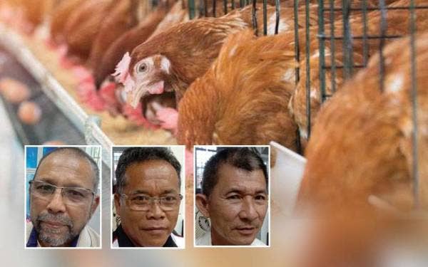 Gambar hiasan - Foto 123RF, gambar kecil dari kiri: Abd Latif, Abd Aziz, Kwee Hin