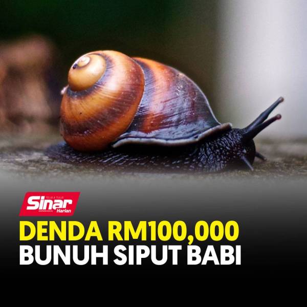 COVER-SIPUT