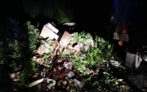 Longgokan sampah yang dibuang pemandu lori.