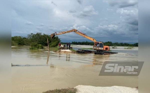 Kerja-kerja menanam cerucuk dijalankan di lokasi ban pecah di RTB Sungai Samagagah.