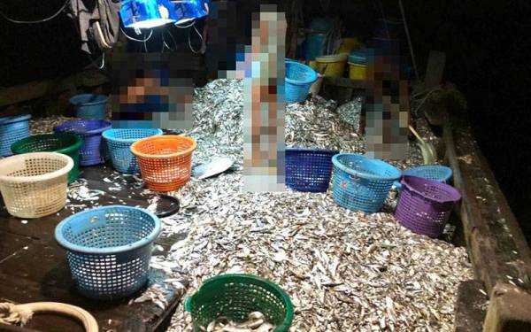 Bot bersama hasil tangkapan ikan campur dibawa ke Jeti Maritim Bukit Malut, Langkawi untuk tindakan lanjut. - Foto Maritim Malaysia