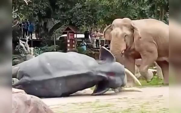 Seekor gajah menumbangkan patung haiwan itu di sebuah taman hidupan liar di Thailand baru-baru ini. - Foto Agensi