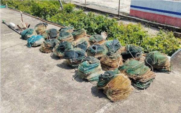 41 bubu naga yang dirampas APMM Zon Maritim Kuala Kurau pada jarak kira-kira 1.7 batu nautika barat daya Tanjung Piandang, pada Jumaat. - Foto APMM Kuala Kurau
