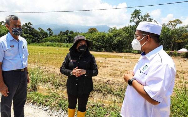 Haslina (tengah) melihat kawasan sawah padi yang musnah ketika melawat kawasan bencana di Yan dan Kuala Muda pada Sabtu.