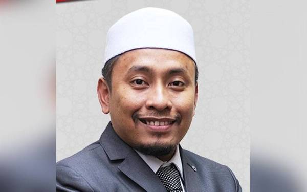Kabinet baharu: Tindakan pembangkang tidak profesional - Vimarsana News