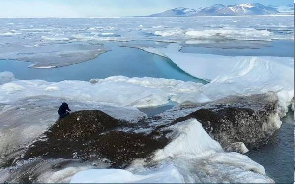  Sekumpulan saintis pada bulan lalu menjejakkan kaki ke sebuah pulau kecil di perairan luar Greenland, yang dipercayai pulau yang kedudukannya paling utara di dunia. Foto Reuters