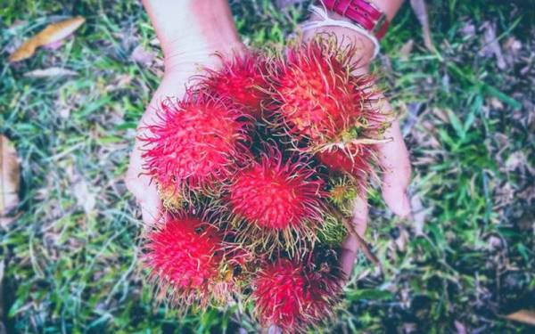 Gambar hiasan. - Foto 123rf