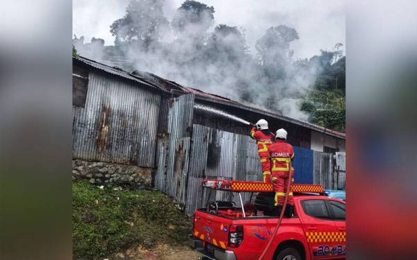 Anggota bomba bertungkus-lumus memadamkan kebakaran di Jalan Kuari Brinchang, Cameron Highlands pada Rabu. - Foto: Ihsan Bomba