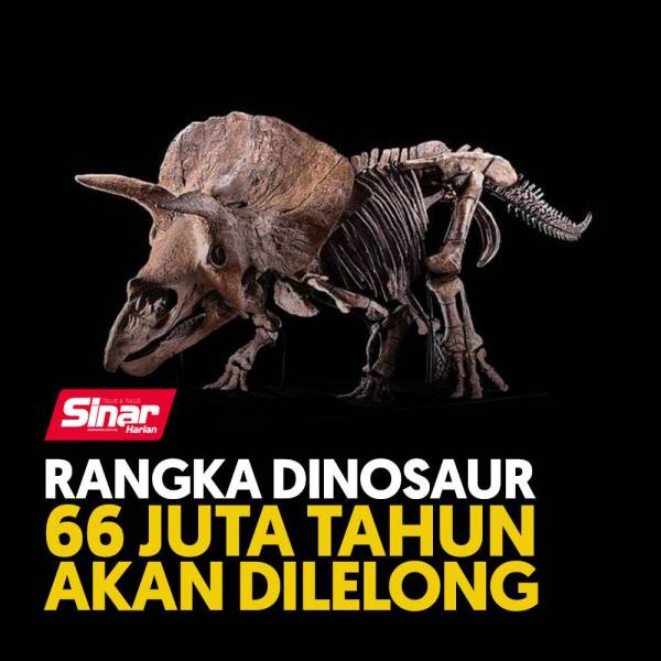 cover-dinasor