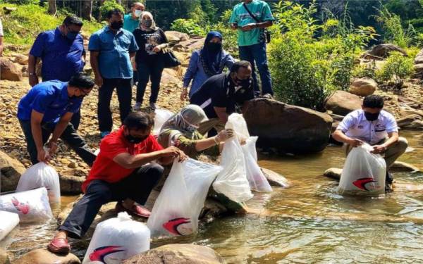 Abdullah (kanan), Shahaniza (tengah) dan Shahruddin(kiri) ketika melepaskan benih ikan lampam di Taman Eko Rimba Lubuk Yu, Maran pada Sabtu.