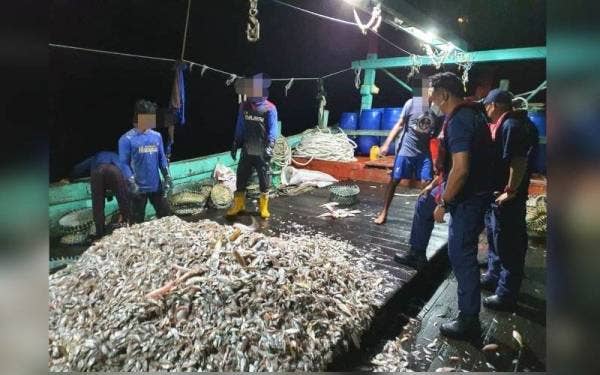 Antara hasil tangkapan daripada salah sebuah bot yang ditahan oleh Unit Perlindungan Sumber Perikanan Terengganu, awal pagi Ahad.