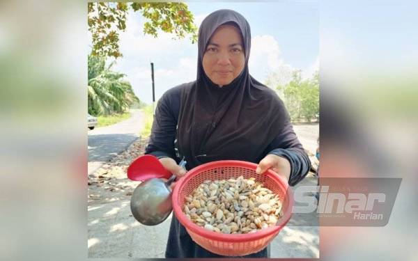 Noor Aziyan menunjukkan hasil remis yang diperolehi daripada aktiviti mengutip hasil laut di pantai Tanjung Kepah, Lumut pada Isnin.