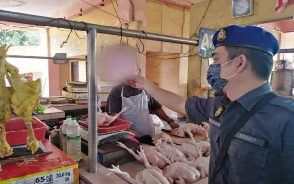 Pemeriksaan KPDNHEP mendapati ada lokasi menjual ayam mentah runcit pada harga RM10 sekilogram. Foto: KPDNHEP