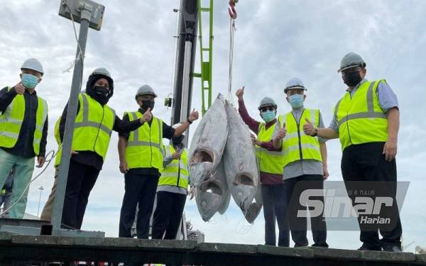 Malaysia mempunyai dua buah pelabuhan yang sesuai dijadikan pelabuhan pendaratan tuna oleh vesel yang beroperasi di Lautan Hindi iaitu Dermaga Dalam di Pelabuhan Pulau Pinang dan Pelabuhan Langkawi.