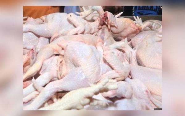 Kepentingan semua pihak perlu diambil kira dalam menangani isu kenaikan harga ayam di pasaran.