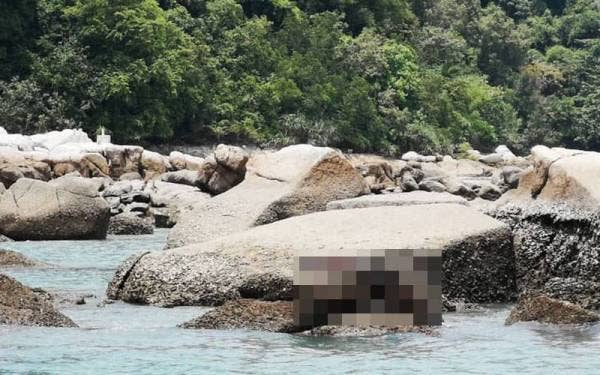 Seorang lelaki tempatan ditemui terdampar atas batu di Pulau Pangkor pada Sabtu. Foto: Ihsan Maritim Malaysia Perak