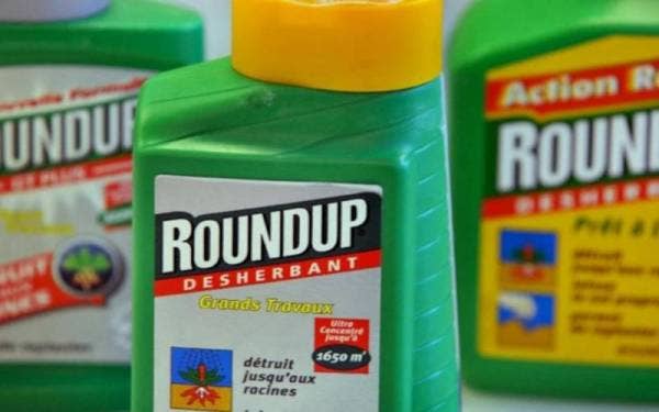 Syarikat yang mengeluarkan racun rumpai Roundup disaman oleh seorang ibu di Los
Angeles, California pada Isnin. - Foto AFP