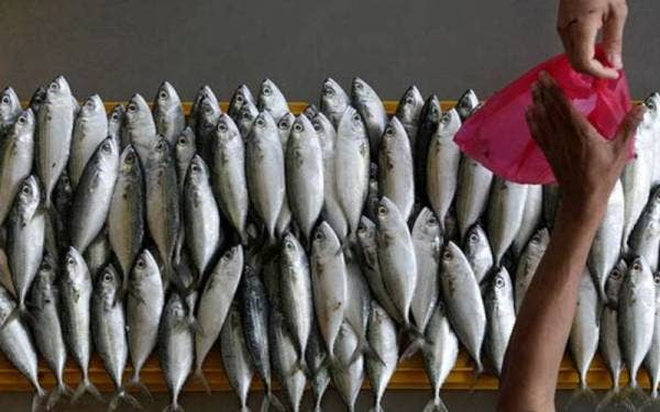 Pengguna berharap agensi terbabit terus memantau keadaan tersebut bagi mengelak pihak tidak bertanggungjawab mengambil kesempatan. (Gambar hiasan)