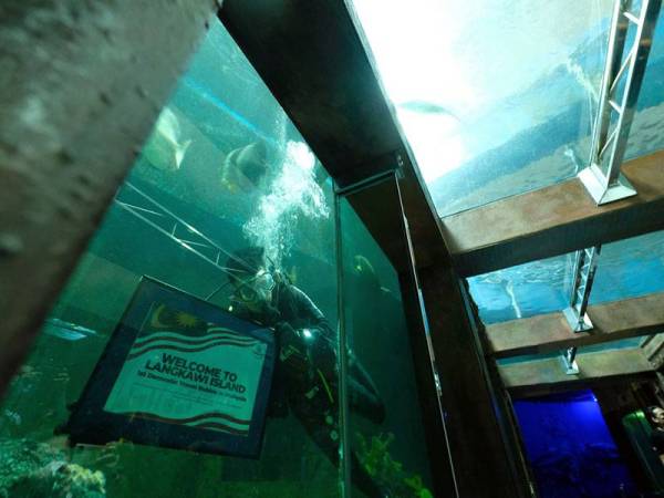 Seorang penyelam melakukan Gimik Menyelam Dalam Tangki Salt Water di Underwater World Langkawi bagi menyambut Pembukaan Langkawi sebagai lokasi 1st Travel Bubble dan juga sempena Sambutan Hari Malaysia esok pada tinjauan hari ini.