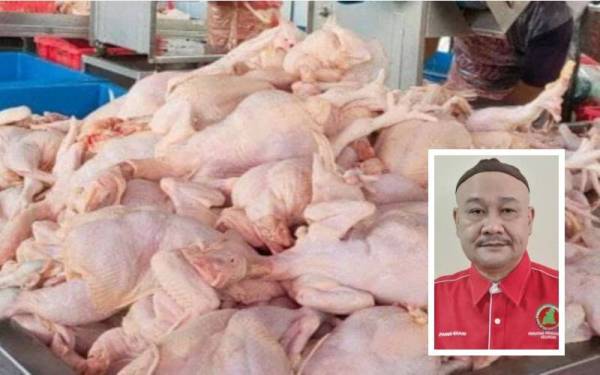 Gambar hiasan. (Gambar kecil: Datuk Seri Mohd Fared Abdul Ghani)