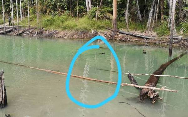 Lokasi mayat mangsa ditemui.