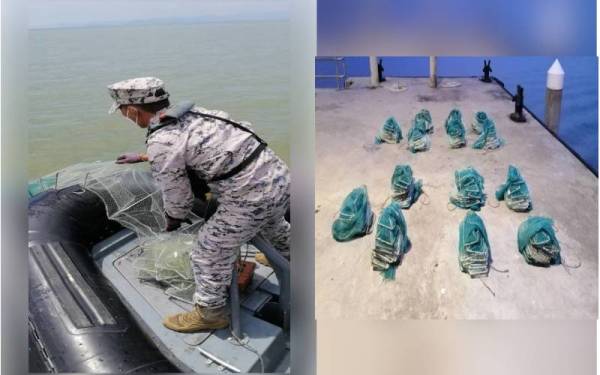 Anggota Maritim Malaysia mengangkat bubu naga yang ditemui di dua lokasi berbeza sekitar 1.0 batu nautika barat laut Sungai Air Hitam, perairan Pulau Pinang, petang Khamis. Gambar kanan: Antara bubu naga yang dirampas.