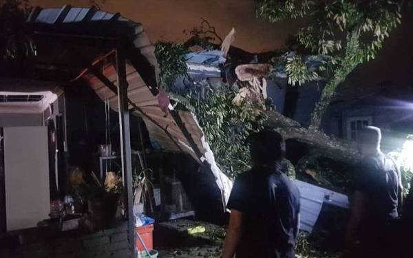 Keadaan rumah mangsa selepas dihempap pokok di Lorong Haji Rahmat, Taman Sri Tanjung, di sini pada Jumaat.