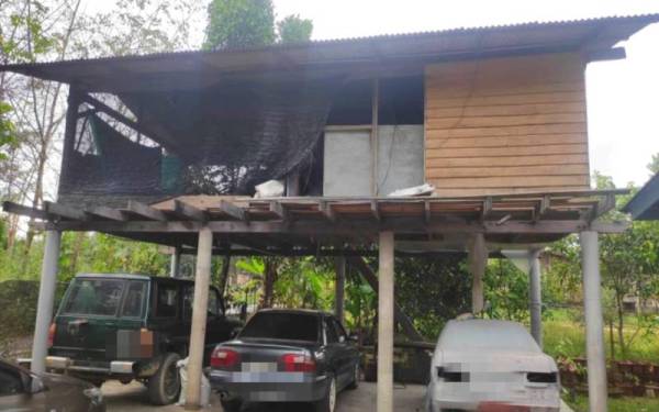 Daun ketum ditemui di sebuah rumah di Kampung Air Mebo, Tanah Merah pada Sabtu.