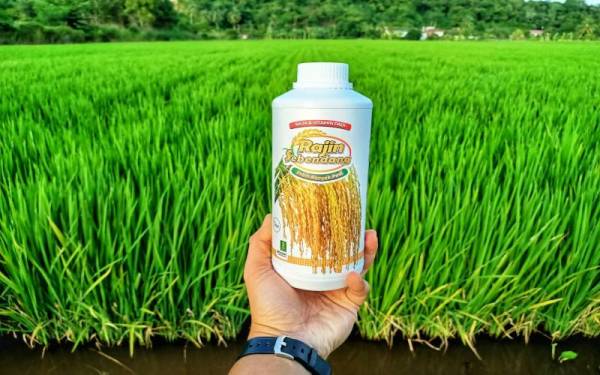 Baja silika membantu membina fizikal pokok yang lebih sihat dan kuat kerana kandungan silika yang mencapai 48 peratus.