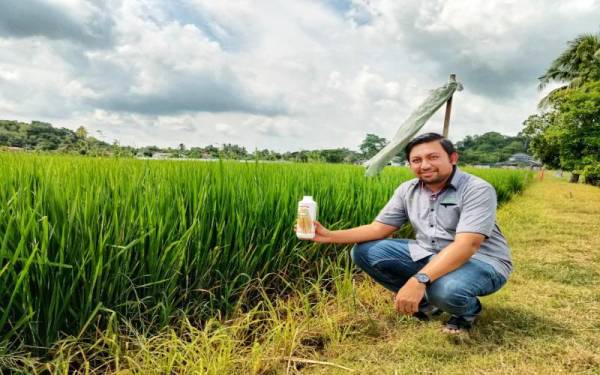 Ezreen Muhaizie berjaya menemui cara terbaik untuk mengekstrak silika menjadi baja pertanian pada kos yang kompetetif