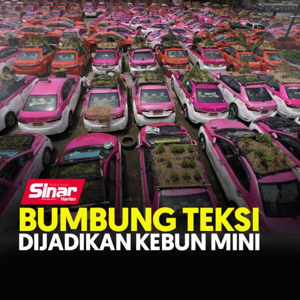 COVER-TEKSI
