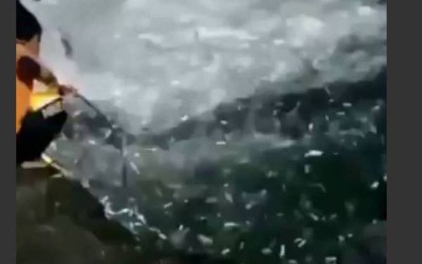  Fenomena dipercayai melanda bahagian Selatan pantai di Jogjakarta, baru-baru ini mendapat liputan meluas dalam media tempatan Indonesia.