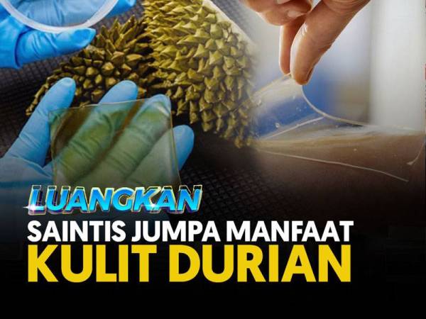 COVER-NL-durian-luangkan