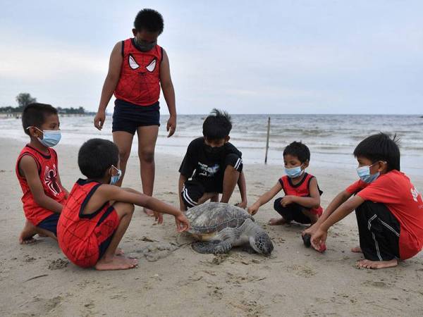 Sekumpulan kanak-kanak melihat penyu agar betina yang ditemukan mati terdampar di pesisir pantai Pandak, Chendering petang semalam.