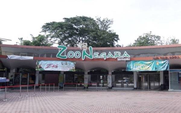 Zoo Negara menawarkan diskaun 20 peratus buat pengunjung mereka susulan pembukaannya semula pada esok.